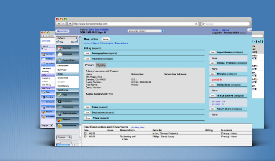 Electronic Medical Charting Systems